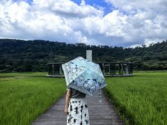 -艾米稻香小镇