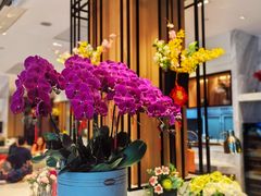 -花城苑广府菜(侨鑫店)