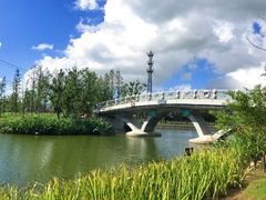 -上海长兴岛郊野公园