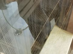 -宠颐生汉谟拉比宠物医院
