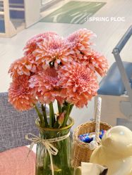 -YesYoga瑜伽普拉提塑形体雕馆