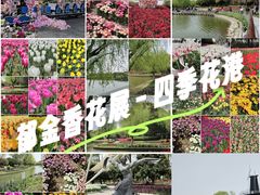 -上海鲜花港