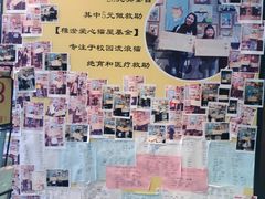 -猫咪博物馆(顶澳仔猫街店)