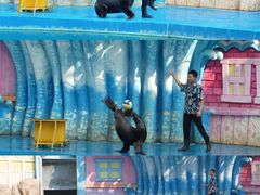 -华夏文旅西安度假区