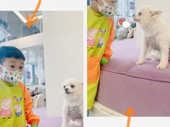 -怪兽屋·羊驼·猫咖·狗咖(俊华广场店)