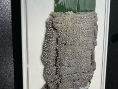 -南门四季铜锅涮肉(大屯·北苑店)