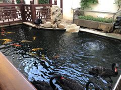 -湖鲜楼