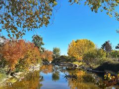 -Lets burger非常汉堡·环球风味(蓝色港湾店)