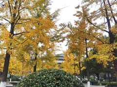 -杭州城北体育公园