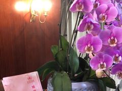 -金泽大酒店·卢塞恩餐厅