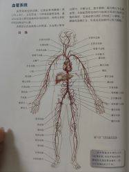 -AN普拉提女子健身工作室