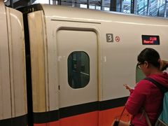 -文府路口(Taiwan High Speed Rail Zuoying Station)