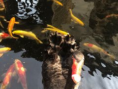 -湖鲜楼