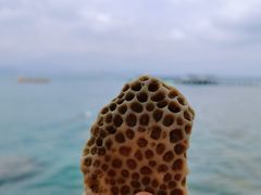 -三亚西岛海洋文化旅游区