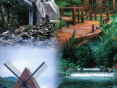 -广州市石门国家森林公园