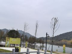 -千年银杏谷文化旅游区