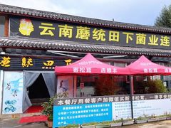 -蘑统田下·野生菌火锅