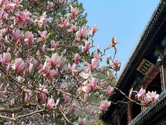 -潭柘寺景区
