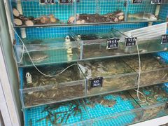 -北戴河庆山饭店·海鲜砂锅粥(北戴河黑石路店)