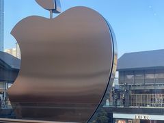 -Apple零售店(成都太古里店)