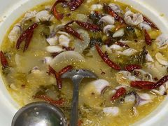 -青花椒花椒鱼(合生汇店)