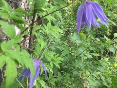 -白草畔自然风景区