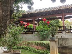 -碧江金楼