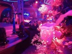 -古吉拉酒吧·蒲seven蹦