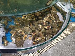 -蓝珊甄选海鲜自助·火锅大排档(近阿那亚店)