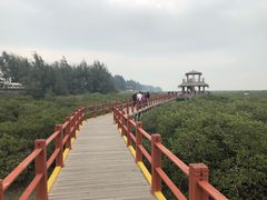 -北海金海湾红树林生态旅游区