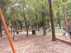 -东湖落雁景区