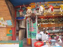 -九寨沟-树正沟