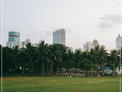 -万绿园