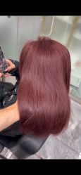 -东方麒麟·潘多拉SALON
