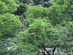 -洛阳白云山景区