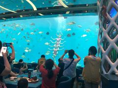 -瑞德姆美人鱼海底演艺主题餐厅(亚龙湾店)