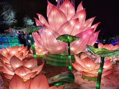 -长春市南湖公园