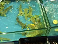 iphone_upload_pic-波记农庄