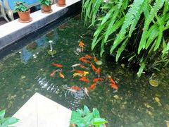-天宫南铂玫瑰园酒店