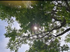 -莫子山公园