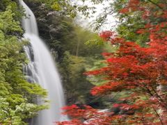 -大围山国家森林公园