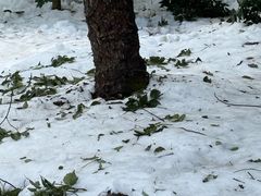 -宁波五龙潭景区