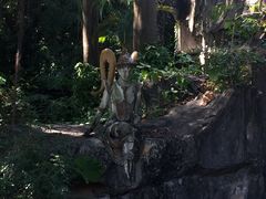 -佛山祈福仙湖酒店