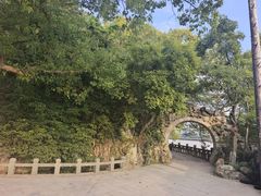 -江心屿景区