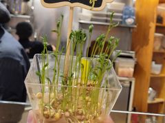 -饵块食光·云南有机手作饵块