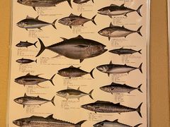 -镹·鱼料理  国产鱼使用店