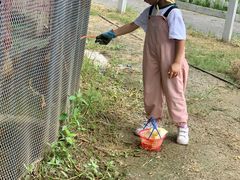 -前小桔亲子创意农场·草莓采摘·露营烧烤