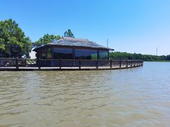 -上海海湾国家森林公园