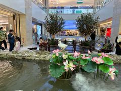 -赛格国际购物中心(小寨店)