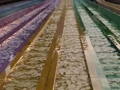 -南宁加勒比水世界